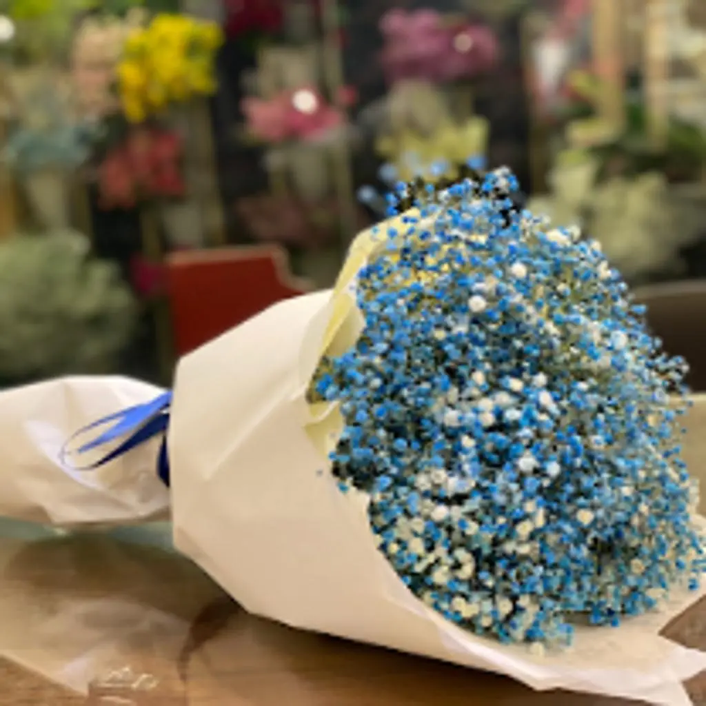 Gypsophila Bouquet